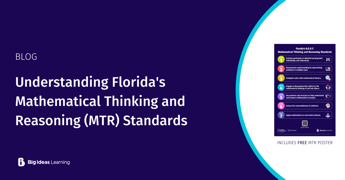 Understanding Florida's Mathematical Thinking and Reasoning (MTR) Standards